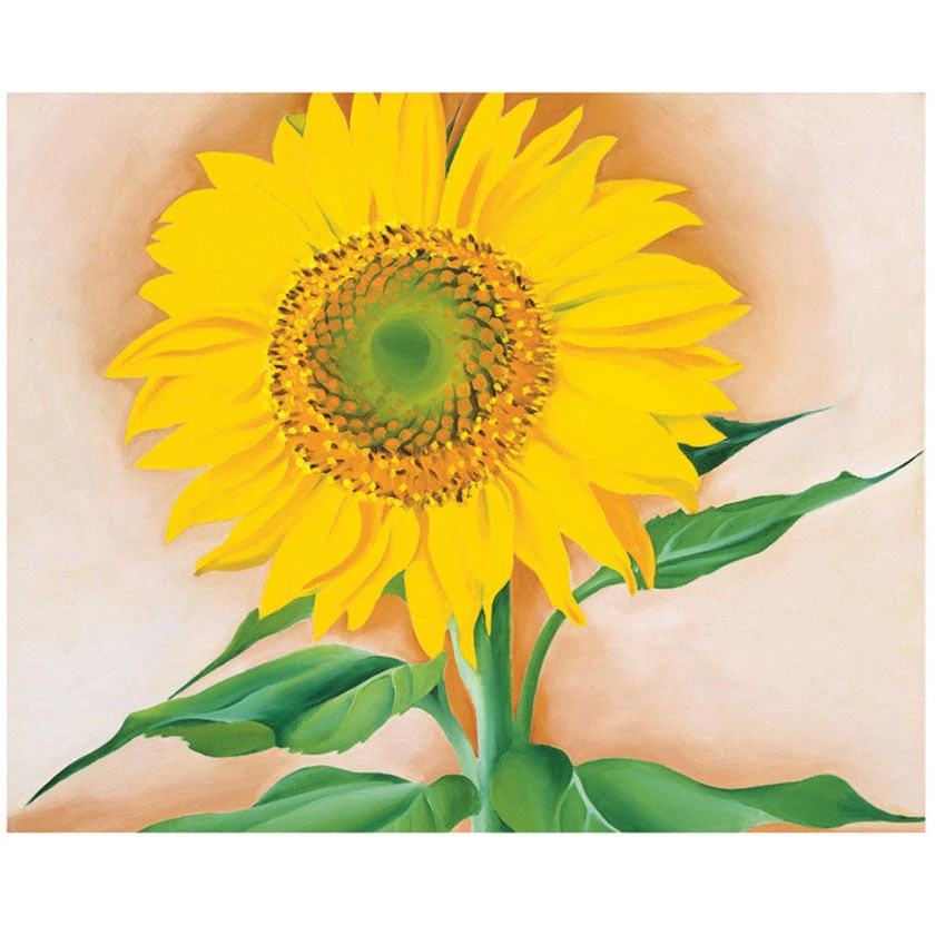 Pomegranate Georgia O'keeffe: Sunflowers Notecard Folio Social Stationery 4 Pomegranate Georgia O'keeffe: Sunflowers Notecard Folio Social Stationery