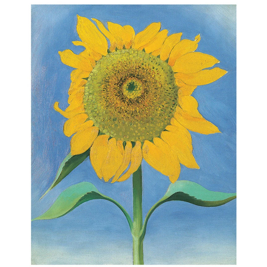 Pomegranate Georgia O'keeffe: Sunflowers Notecard Folio Social Stationery 5 Pomegranate Georgia O'keeffe: Sunflowers Notecard Folio Social Stationery