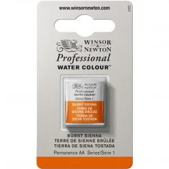 Cotman Watercolour Winsor & Newton Professional Watercolour Half Pan