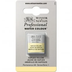 Cotman Watercolour Winsor & Newton Professional Watercolour Half Pan