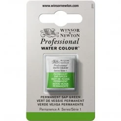Cotman Watercolour Winsor & Newton Professional Watercolour Half Pan