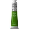 Paint And Colour Winsor & Newton Winton Oil 200ml Tube