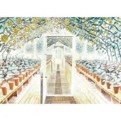 Canns Down Press Eric Ravilious - The Greenhouse: Cyclamen And Tomatoes Greetings Cards