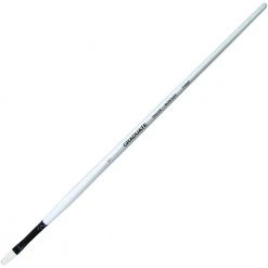 Daler Rowney Graduate Bristle Filbert 1 Long Handle Artists Brushes