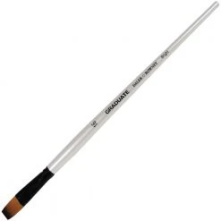 Daler Rowney Graduate Synthetic Bright 16 Long Handle Artists Brushes