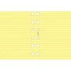Filofax Pocket Yellow Ruled Notepaper Filofax Refills