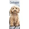 Calendar Collection 2022 Calendar - Cockapoo / Avonsi Calendars 2022