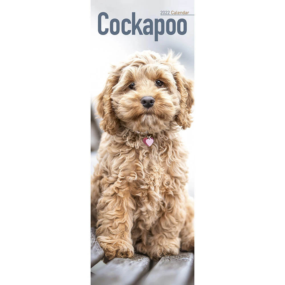 Calendar Collection 2022 Calendar - Cockapoo / Avonsi Calendars 2022 3 Calendar Collection 2022 Calendar - Cockapoo / Avonsi Calendars 2022