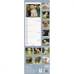 Calendar Collection 2022 Calendar - Cockapoo / Avonsi Calendars 2022