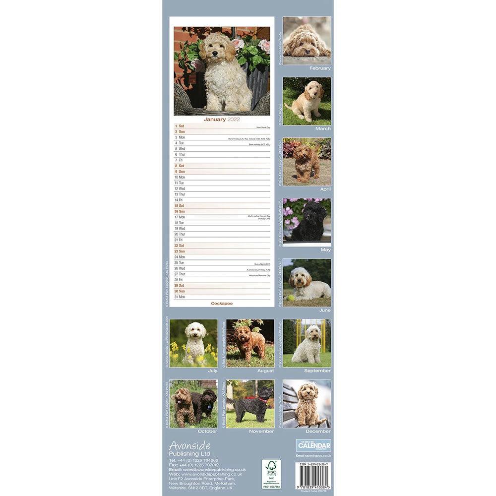 Calendar Collection 2022 Calendar - Cockapoo / Avonsi Calendars 2022 4 Calendar Collection 2022 Calendar - Cockapoo / Avonsi Calendars 2022