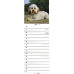 Calendar Collection 2022 Calendar - Cockapoo / Avonsi Calendars 2022 7 Calendar Collection 2022 Calendar - Cockapoo / Avonsi Calendars 2022