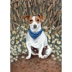 Canns Down Press Greetings Cards Lucy Howard - Little Jack