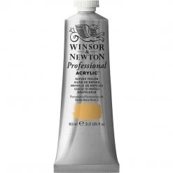 Winsor & Newton Professional Acrylic 60ml 81 Winsor & Newton Professional Acrylic 60ml