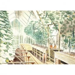 Canns Down Press Eric Ravilious - Cucumber House Greetings Cards