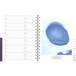 Pomegranate Gifts Georgia O'keeffe Deluxe Address Book