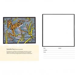 Pomegranate The Young Naturalist's Sketchbook Activity Books For Children