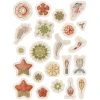 Pomegranate Ernst Haeckel: Art Forms In Nature Sticker Book Activity Books For Children