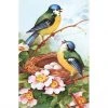 Museums & Galleries Greetings Cards Bluetits (single)