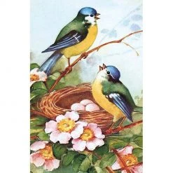 Museums & Galleries Greetings Cards Bluetits (single)