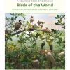 Pomegranate Birds Of The World Dioramas Coloring Book Adult Colouring Books