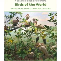 Pomegranate Birds Of The World Dioramas Coloring Book Adult Colouring Books