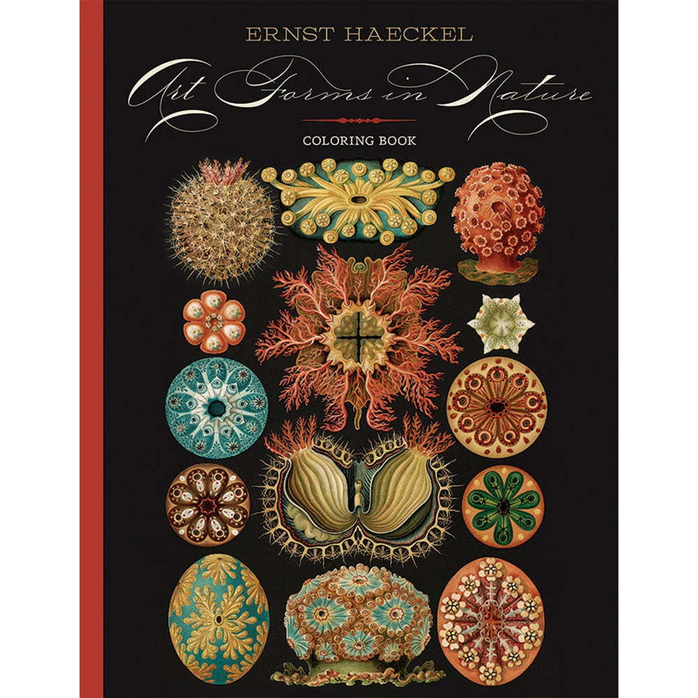 Pomegranate Ernst Haeckel: Art Forms In Nature Coloring Book 3 Pomegranate Ernst Haeckel: Art Forms In Nature Coloring Book