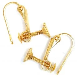 Craft Factory Ear Screws 2pk: Gold Plated