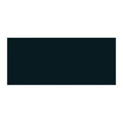 Winsor & Newton Ink Black Indian