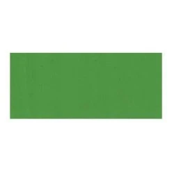 Winsor & Newton Designers Gouache 14ml Sap Green Paint And Colour