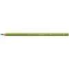 Faber-Castell Drawing & Colouring Polychromos Artists' Pencil Earth Green Yellowish (168)