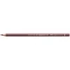 Faber-Castell Polychromos Artists' Pencil Caput Mortuum (169)