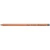 Faber-Castell Pitt Pastel Pencil Cold Grey IV (233)