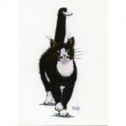 Colcards Tuxedo Cat