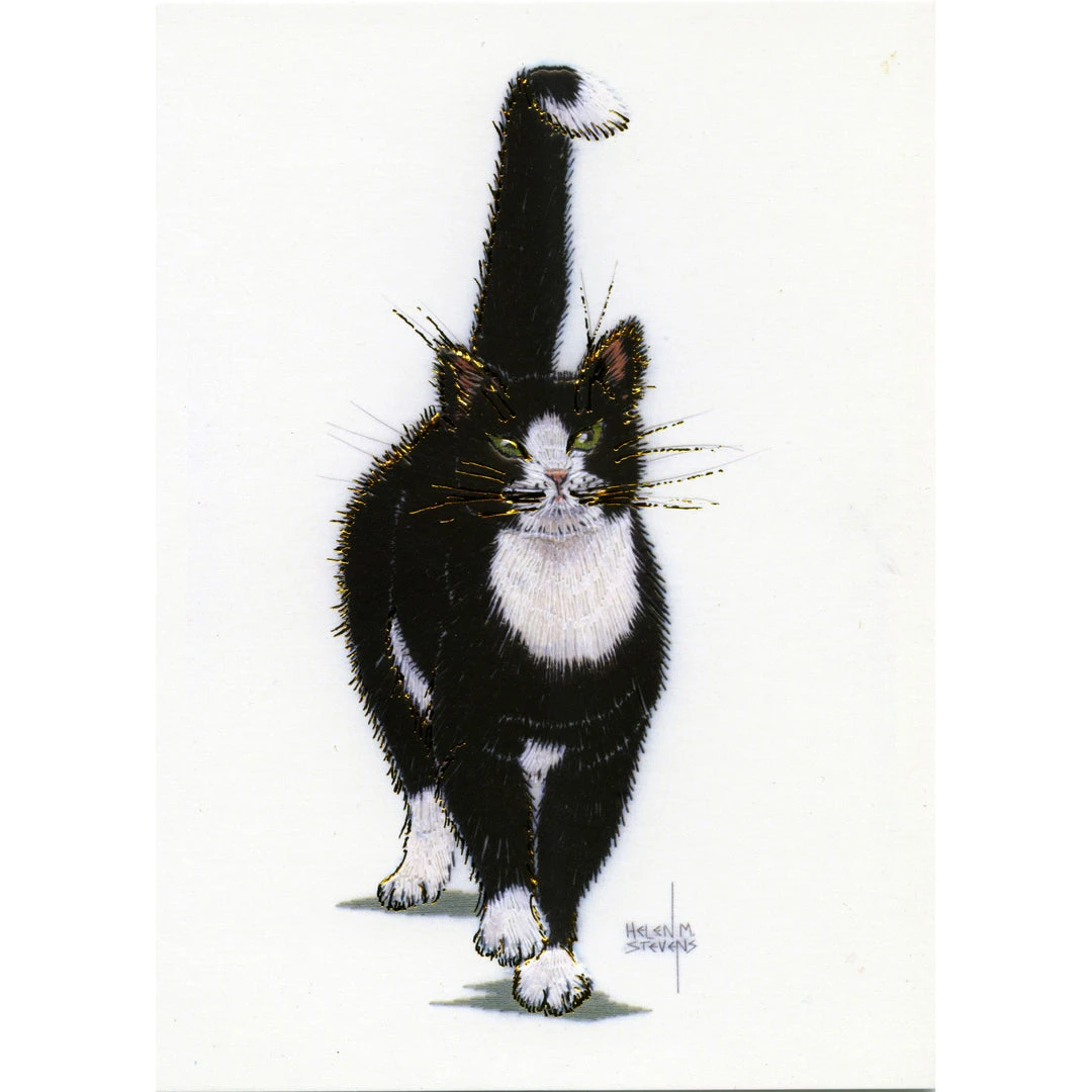 Colcards Tuxedo Cat 3 Colcards Tuxedo Cat