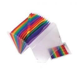 Europa Exacompta 13 Pocket Expanding File Assorted 55298E