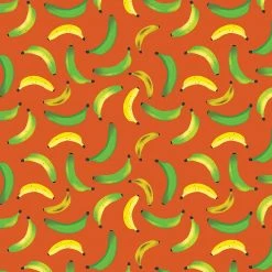 Pomegranate Giftwrap Carey Hall: Bananas Designer Gift Wrap