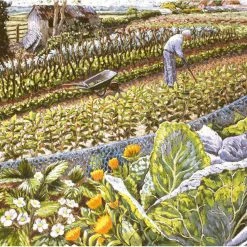 Green Pebble Cath Read - Blooming Veg