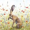 Green Pebble Greetings Cards Sarah Pye - Meadow Hare 1 Green Pebble Greetings Cards Sarah Pye - Meadow Hare