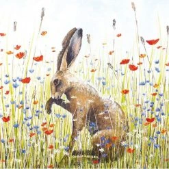 Green Pebble Greetings Cards Sarah Pye - Meadow Hare