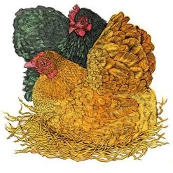 Green Pebble Vanessa Lubach - Pumpkin And Betty Greetings Cards