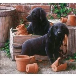 Otter House Jigsaw - Bill & Ben 500 Piece