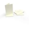 Peakdale Cards And Envelopes Mini Cream (10)
