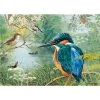 Otter House Contemporary And Traditional Jigsaws Rectangular Jigsaw - Nature Reserve