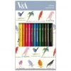 Museums & Galleries Student Stationery Lear Birds Coloured Pencils