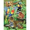 Royal & Langnickel Paint By Numbers And Scraper Board Sets Paint By Numbers Junior Small Jungle Scene