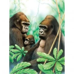 Royal & Langnickel Paint By Numbers Junior Small Gorillas