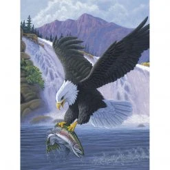 Royal & Langnickel Paint By Numbers Junior Small Sanctuary