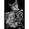 Royal & Langnickel Paint By Numbers And Scraper Board Sets Silver Foil Mini Kit Tabby Cat & Kitten