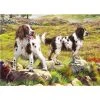 Otter House Rectangular Jigsaw - Spaniels On Moor Contemporary And Traditional Jigsaws
