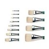 Artists Brushes Winsor & Newton Winton Hog Short Flat No 6